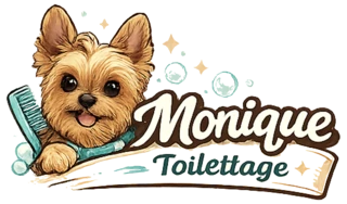 Logo Monique Toilettage : Kiwi, un yorkshire, avec un peigne.